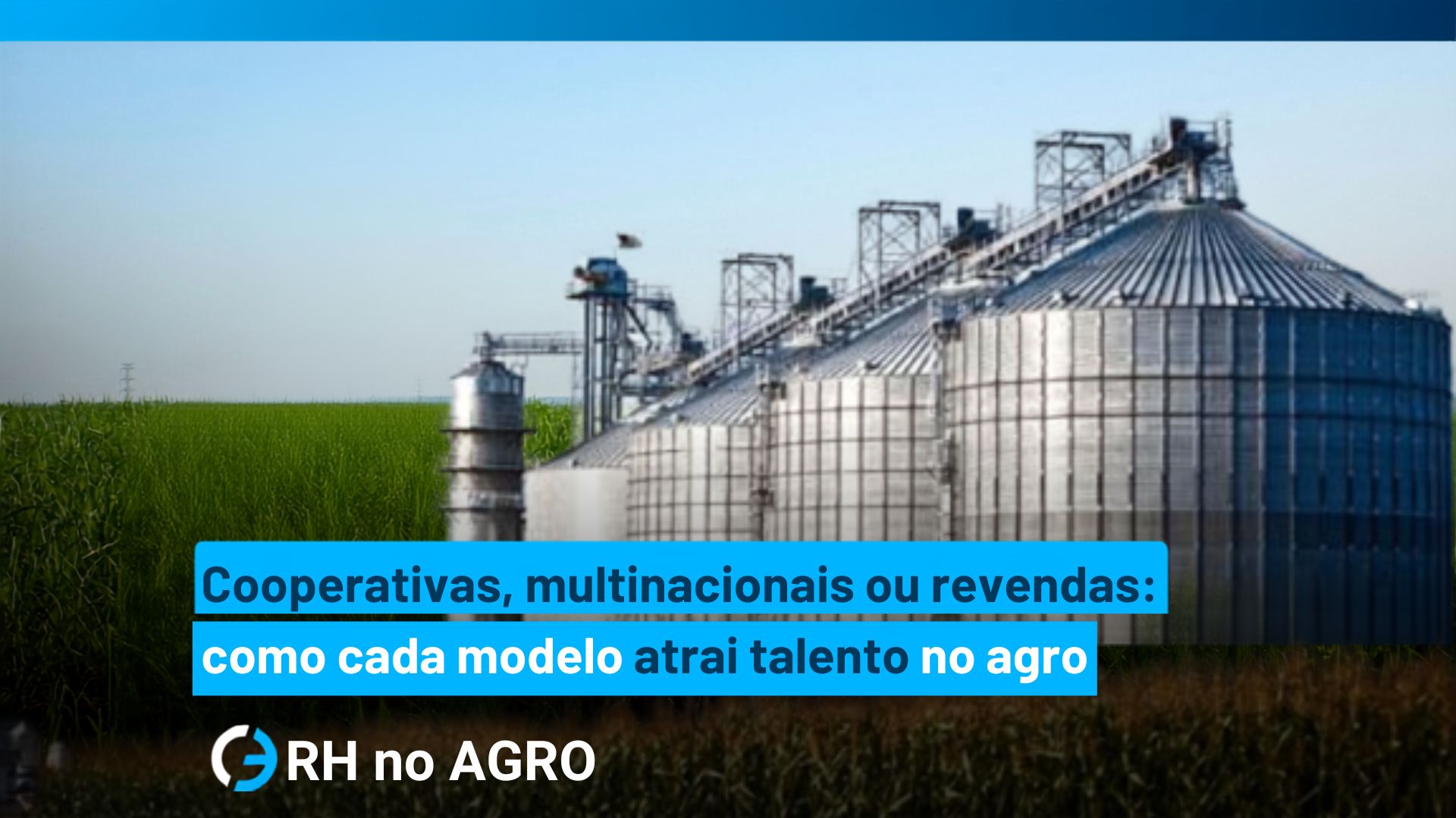 Carreira em cooperativa no agronegócio: como cada modelo atrai talento
